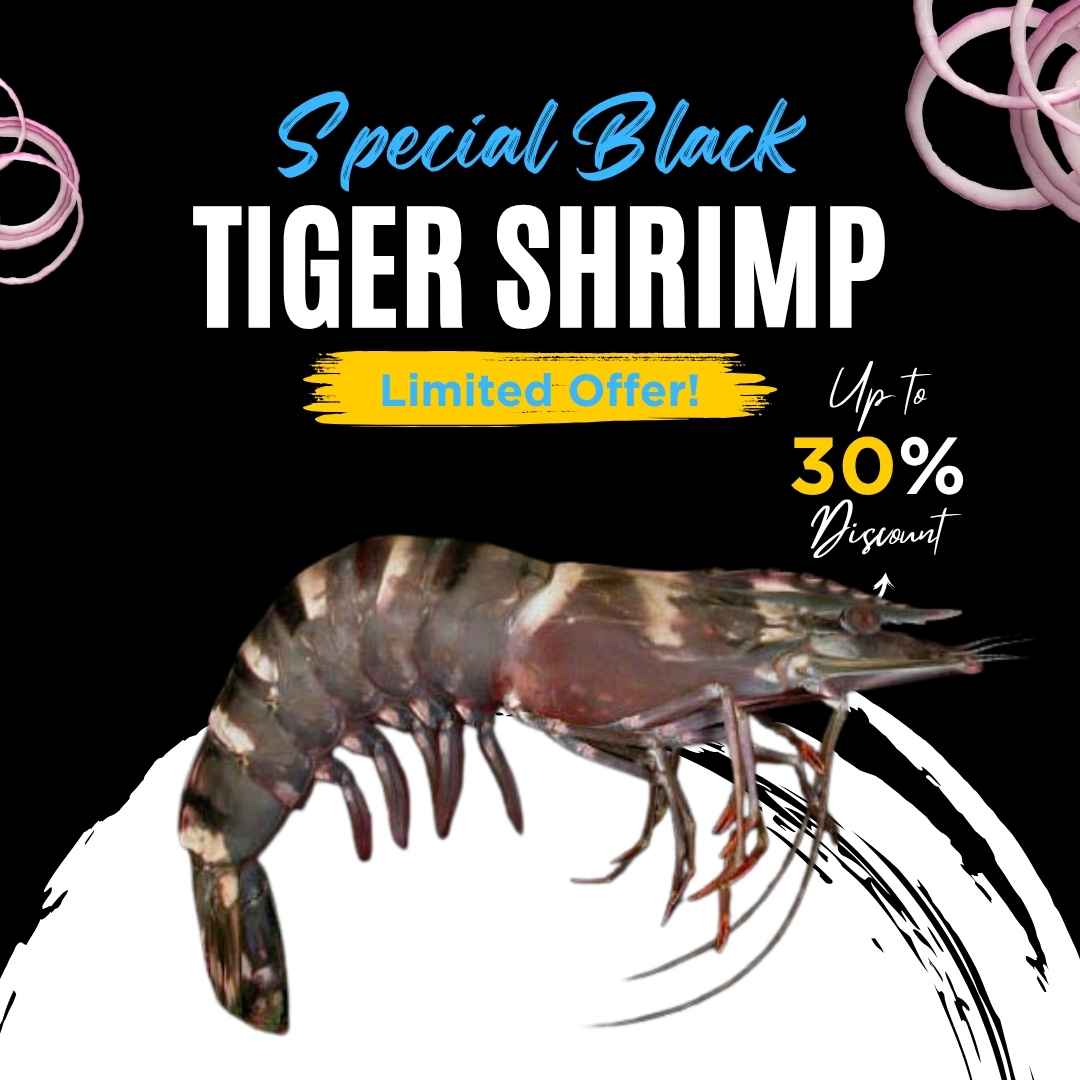 Black Tiger Shrimp (Head On)