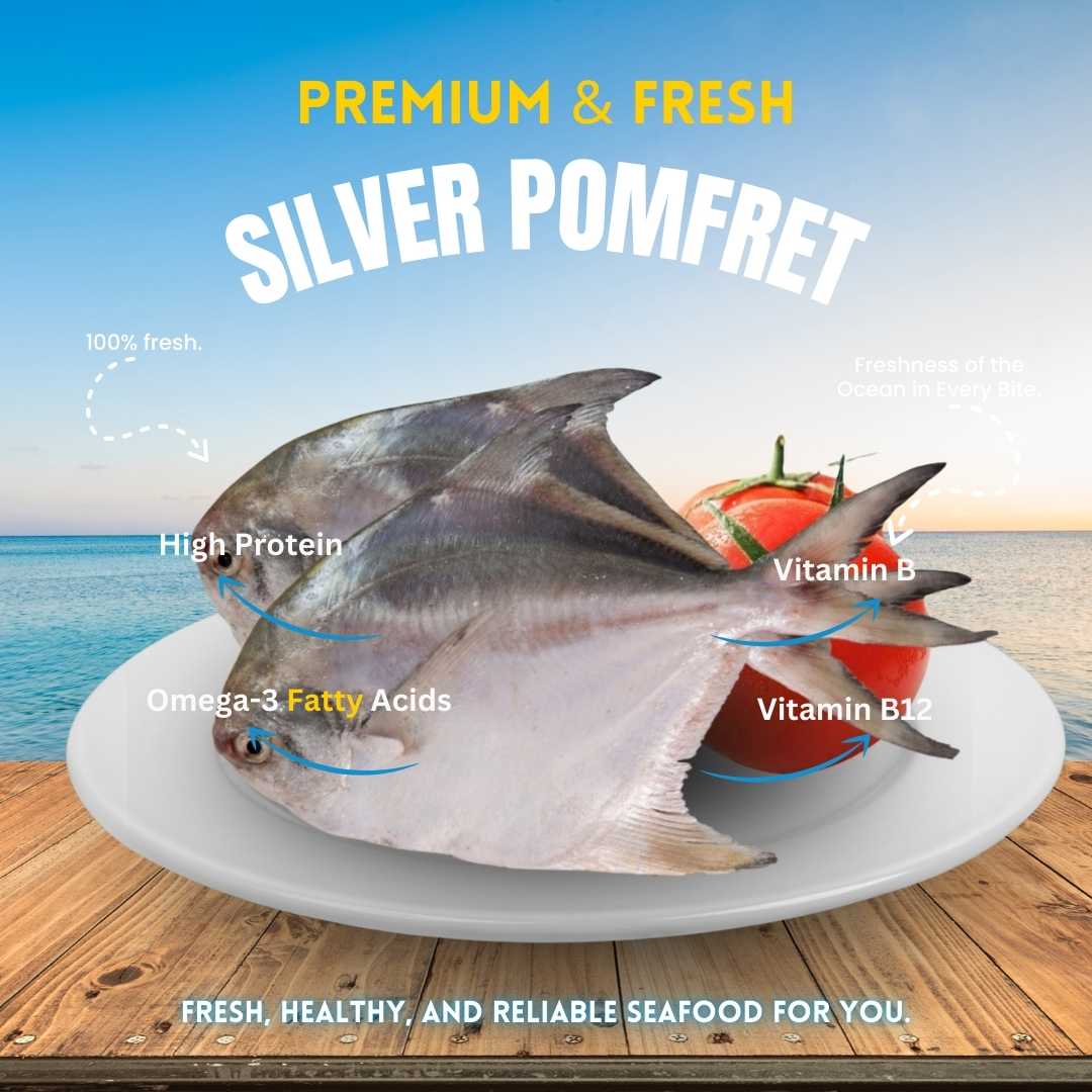 Silver Pomfret - Desi Big