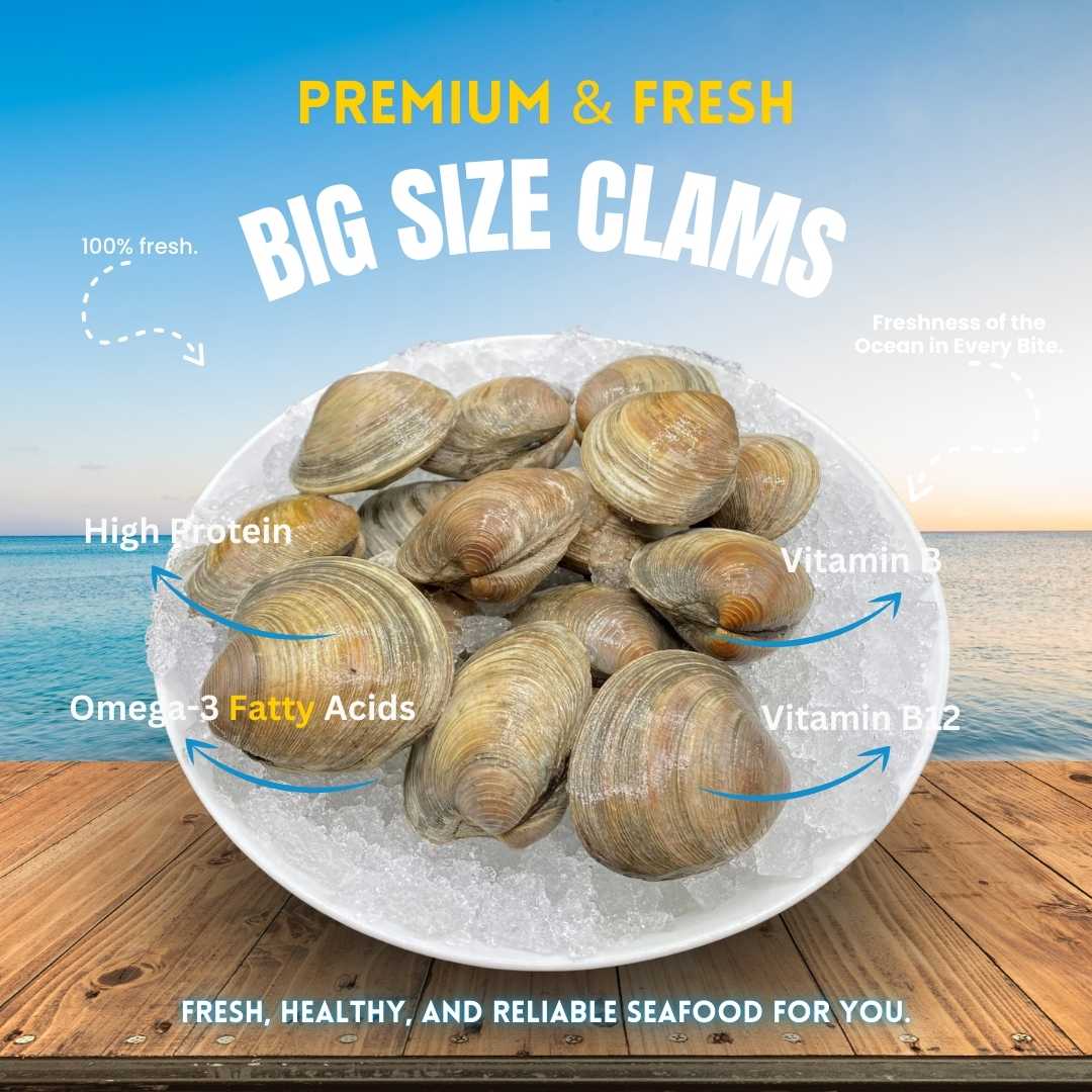 Clams Whole