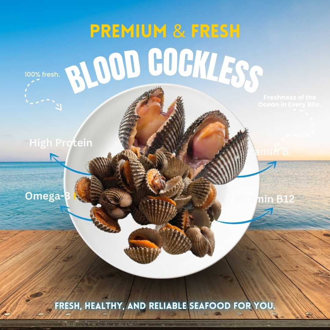 Blood Cockles WHOLE