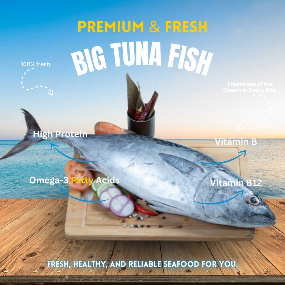Tuna (Medium Size)