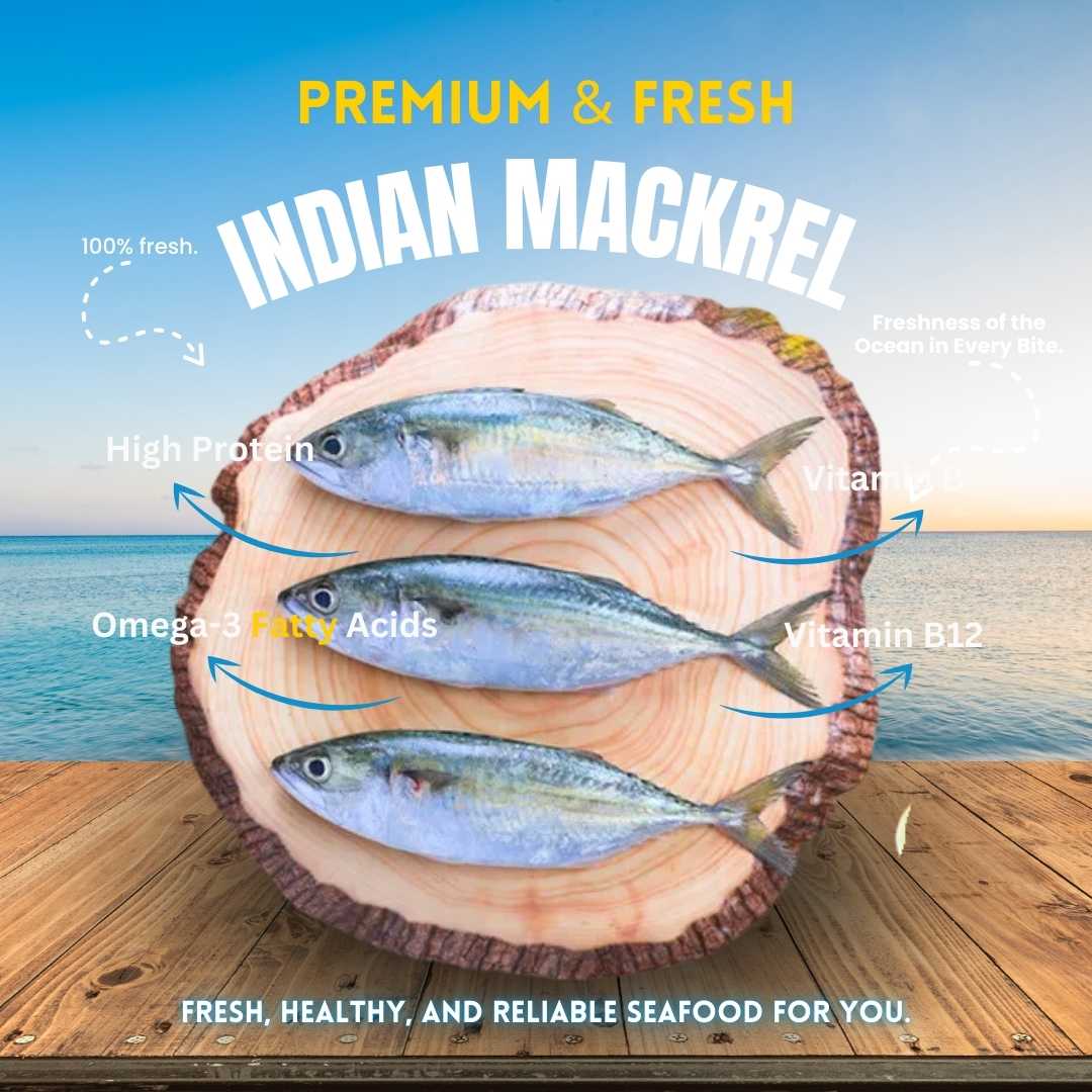 Indian mackerel (আয়লা)