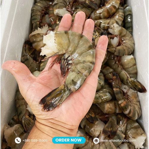 TIGER SHRIMP MID SIZE