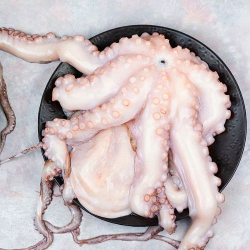 অক্টোপাস / octopus (raw)