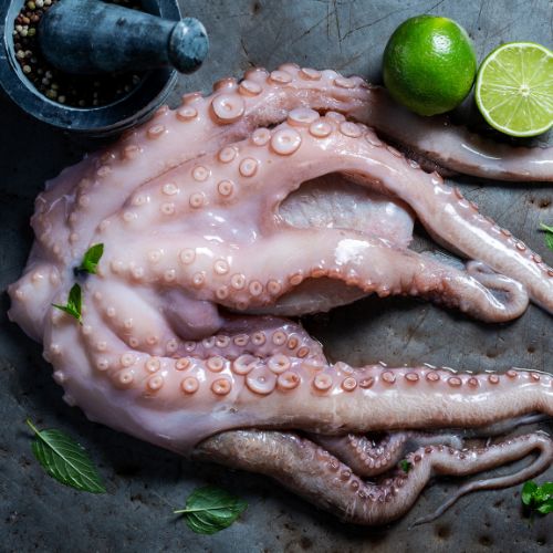 SPECIAL OCTOPUS  BIG ( ready to cook)