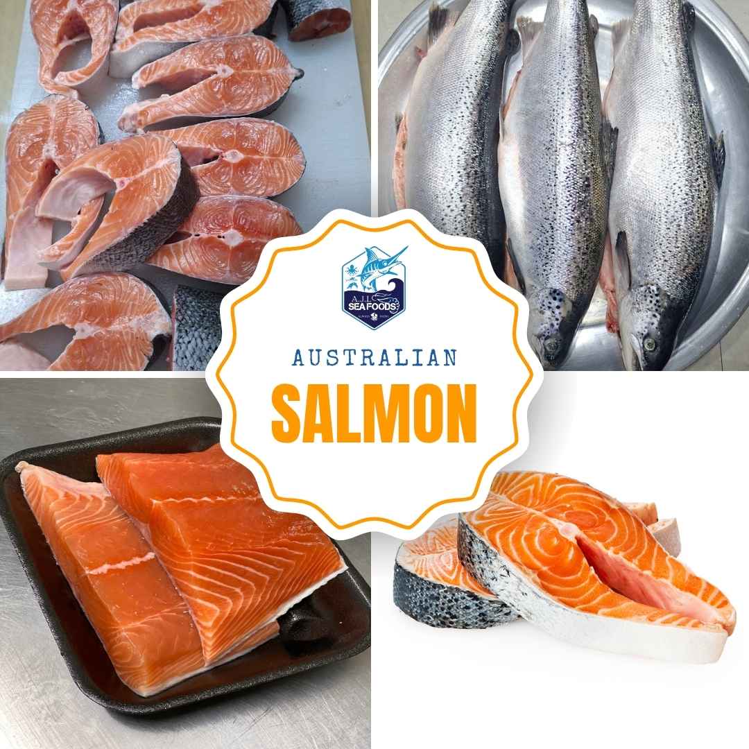 Australian Salmon