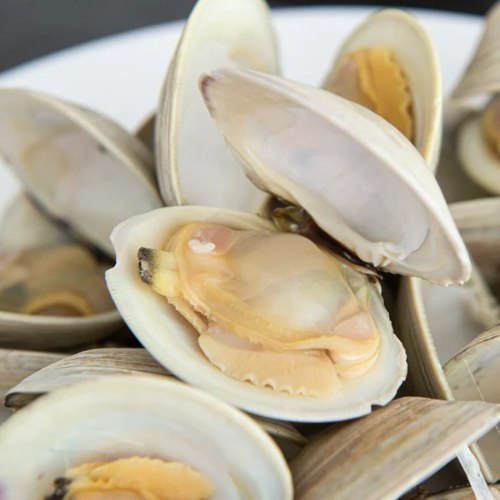 AJL Sea Food