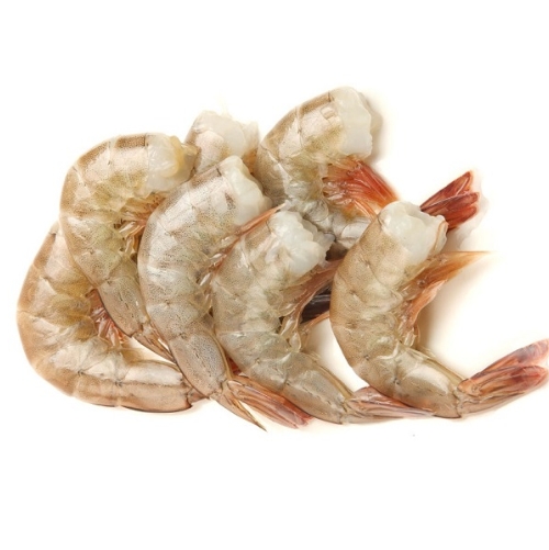 Shrimp White Head off